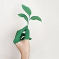 Image source: Alena Koval from