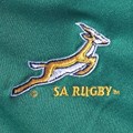 Image: One of the many iterations of official Springbok merchandise © Shan Radcliffe