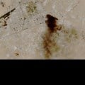 Source: Reuters. A satellite view of smoke billowing at a Saudi Aramco oil facility after a reported attack, following the announcement of a two-week ceasefire in the Iran war, in Abqaiq, Saudi Arabia 8 April, 2026.