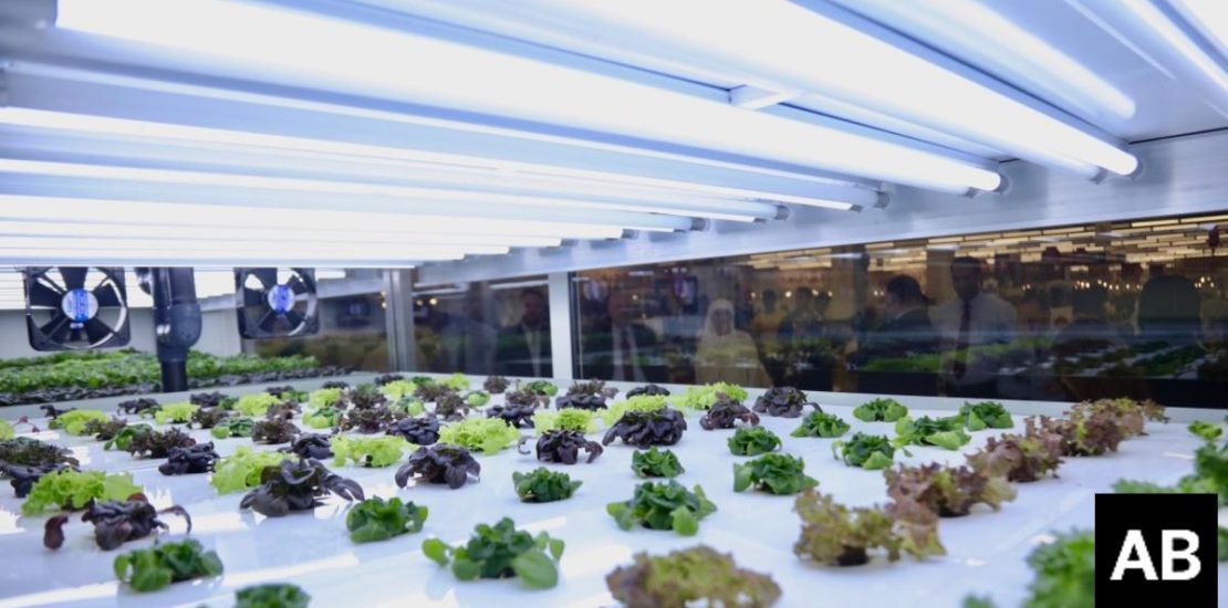 Carrefour launches first UAE in-store farms to reduce carbon footprint