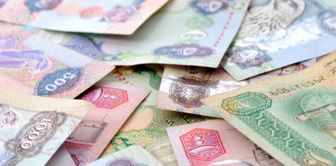 UAE Govt support for citizens reached $2bn in 2019