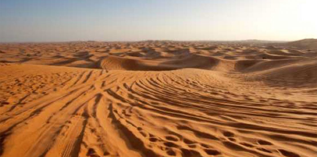 Dubai desert camp shut down, operator fined over virus violations