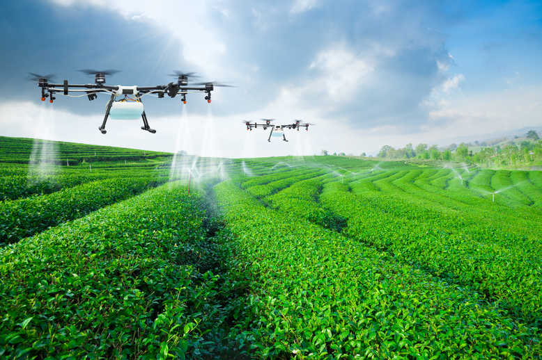 How the UAE aims to protect its food sector from the threat of global warming