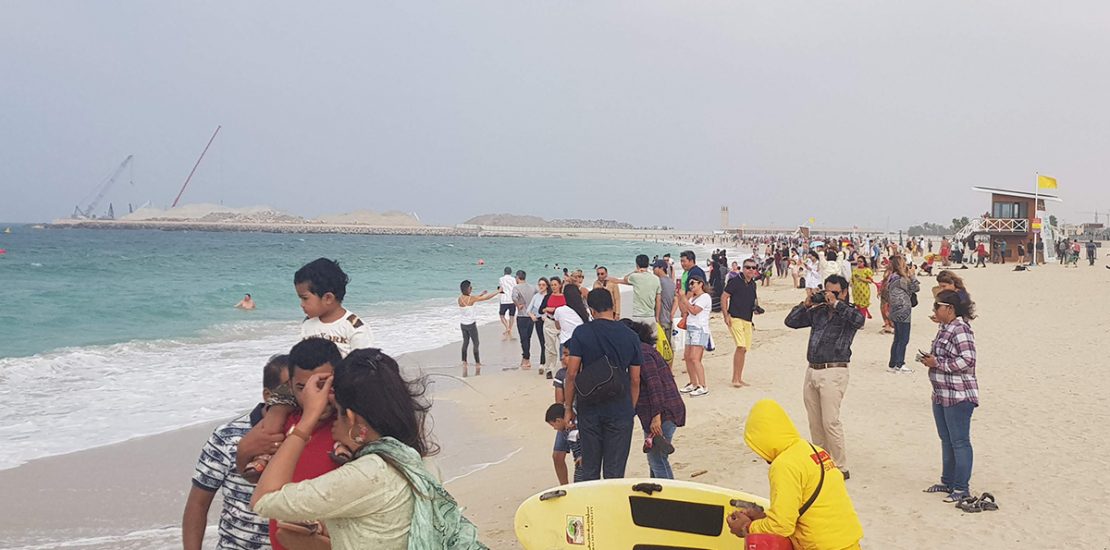 Green calendar aims to boost Dubai's status as sustainable tourism destination